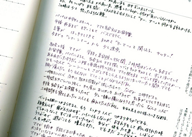 玙LP`Q@wl̗F