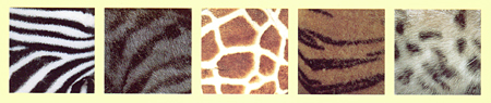 MtgpʂݏoYjETM